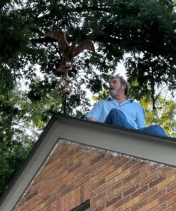 Good Directions 955P Smithsonian Eagle Weathervane, Pure Copper 35 71nLMPa1uRL