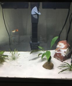 Carib Sea ACS05820 Super Natural Moonlight Sand for Aquarium, 5-Pound 5 lb 31 71nMwxcx7pL