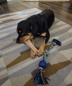 Nylabone Power Chew Dog Toy - Dog Toys for Aggressive Chewers - Indestructible Dog Toys for Aggressive Chewers Large Breed - For Extra Large Dogs - Bacon Flavor X-Large/Souper (1 Count) X-Large/Souper - 50+ lbs. 41 71nPLQj8lmL