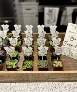 Shop Succulents Unique Succulent Plant Pack Bulk Collection - Live Mini Succulent Plants, Low Maintenance, Exceptional Colors & Textures - Wedding and Party Favors, Gift & Garden, Pack of 20 20-Pack Succulent Packs 41 71nPfBj01fL