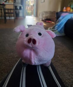Gravity Falls Waddles Plush (Discontinued by manufacturer) 25 71nQOUP7eaL