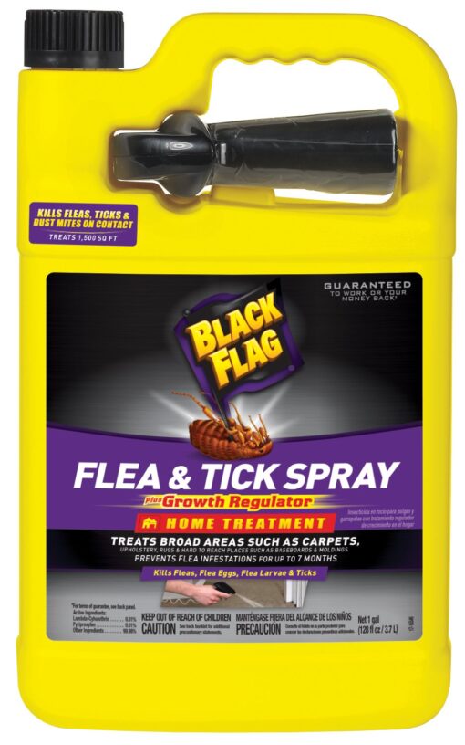 Black Flag Flea & Tick Killer Home Treatment with Growth Regulator Spray, 1 gallon 1 Pack 128 Oz