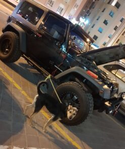 Dual A-Pillar Light Brackets - ALAVENTE Dual Lower Windshield LED Work Light Mounts Kit For 2007-2018 Jeep Wrangler JK/JKU (Pair, Black) Lower Windshield Dual Brackets 49 71nRNA1E9RL