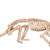 Crazy Bonez Skeleton - Rat Bonez 3 71nRUaCvN6L