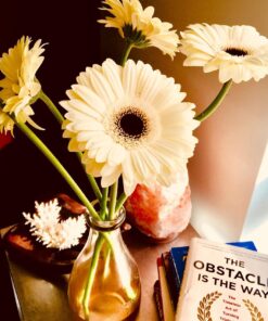 The Obstacle Is the Way: The Timeless Art of Turning Trials into Triumph 19 71nSE8ts1yL