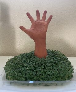 Chia Pet Zombie Pet with Seed Pack, Decorative Pottery Planter, Easy to Do and Fun to Grow, Novelty Gift, Perfect for Any Occasion Zombie Restless Arm 19 71nStp4mNYL
