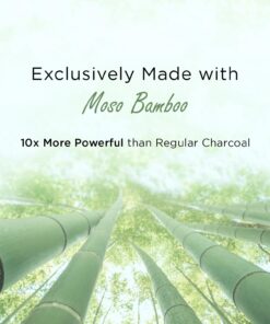 Moso Natural Shoe Odor Absorbers. A Scent Free Odor Eliminator for Shoes, Gym Bags and Sports Gear. Premium Moso Bamboo Charcoal Air Purifying Bag and Deodorizer. (One Pack of Two 75g Bags) 1 30 71nVYBuH7LL