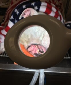 5X Magnifying Lamp LED Magnifier Light Glass Lens W/Adjustable Gooseneck, Floor Rolling Stand Facial Beauty Spa Salon Light Equipment Visual Aid 35 71nXdySStL