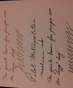 PILOT MR Animal Collection Fountain Pen in Gift Box, Matte White Barrel with White Tiger Accent, Fine Point Stainless Steel Nib, Refillable Black Ink (91141) 1 Count (Pack of 1) 22 71naEVbdkAL