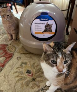 Petmate Booda Dome Cat Litter Box for Indoor Cats , Titanium, Made in USA One Size 34 71nbu9PwsL