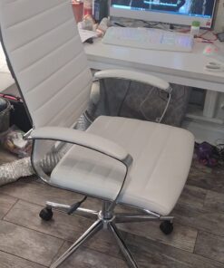 Amazon Basics High-Back Executive Swivel Office Desk Chair with Ribbed Puresoft Upholstery, Lumbar Support, Modern Style, 23.9"D x 24.69"W x 41.5"H, Stunning White 34 71nc42sb53L