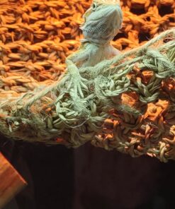 BN-LINK 8 Outlet Surge Protector with Mechanical Timer (4 Outlets Timed, 4 Outlets Always On) - White 36 71nghhHvF4L