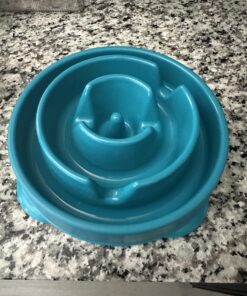 Outward Hound Fun Feeder Slo Bowl, Slow Feeder Dog Bowl, Medium/Mini, Turquoise 29 71niFJwD5DL 1