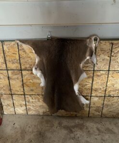 Knoblochs Deer Hunter's & Trapper's Hide & Fur Tanning Formula Multi Pack 1 37 71nkLenLHhL