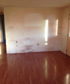 Savogran 10622 Trisodium Phosphate (TSP) 4.5lbs 25 71nlKKOAnL