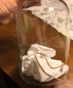 1790 Large Glass Jars with Lid - Wide Mouth 1 Gallon Glass Jar with Lid - Glass Gallon Jar for Kombucha & Sun Tea - Gallon Mason Jars are Large Glass Jars with Lids 1 Gallon for Food Storage - 2 Pack 39 71nlmWUeSyL