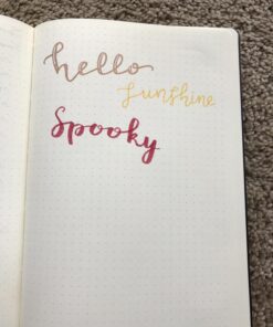 LEUCHTTURM1917 - Notebook Hardcover Medium A5-251 Numbered Pages for Writing and Journaling (Black, Dotted) Black 62 71nmivJ zlL