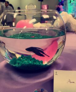 Pure Water Pebbles Aquarium Gravel, 5-Pound, Turquoise 15 71nnxgrgxfL