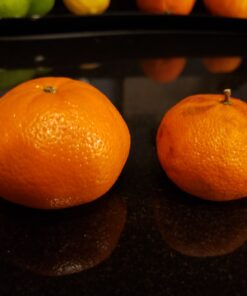 ZENS Glass Canister Set, Small Airtight Kitchen Storage Jars with Glass Lids, Clear 4 Pack 10oz Empty Food Container for Spices with Lables and Stickers. 01-10oz*4 36 71no0u5g5KL