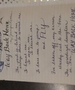 LEUCHTTURM1917 - Medium A5 Ruled Softcover Notebook (Black) - 123 Numbered Pages Medium (A5) Black 22 71noDXFIfML