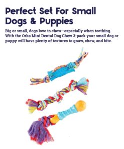 Petstages Orka Mini Dental Dog Chew Toys - 3 Pack Dental Chew 3 Pk 25 71noFSTUhFL