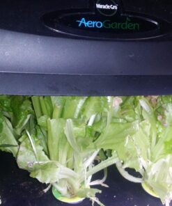 AeroGarden Salad Greens Mix Seed Pod Kit, 7 pod 37 71noSGDIOwL