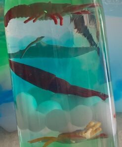 SENSORY4U Dew Drops Water Beads Ocean Explorers Tactile Sensory Kit - 26 Sea Animal Creatures Included - Great Fine Motor Skills Toy for Kids 38 71ns Qn4ipL