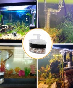 Aquapapa Corner Filter Bio Sponge Ceramic Air Pump Driven for Fry Shrimp Nano Fish Tank Aquarium XY-2008 (Ship from CA USA) 1-Pack 18 71ns7HSZ4fL