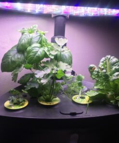 AeroGarden Classic 6 with Gourmet Herb Seed Pod Kit 61 71nsfFhteqL