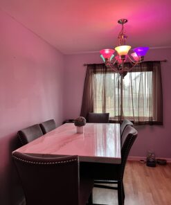 Miracle Sealants POULTPLUS3 Poultice Plus Cleaner, 1 lb 8 71ntI77PbeL