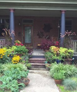 Rain Bird 1ZEHTMR Professional Grade Electronic Digital Hose End Timer/Controller, One Zone/Station, Battery Operated Pro-Grade Digital Hose-End Timer 27 71ntxkEqauL