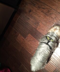 Beautyko Ideaworks 12-Piece Wood Touch-Up Markers and Wax Sticks for Repairing Scratches and Dings in Wood Furniture and Floors 1 A CLASS 46 71nv7ycazDL