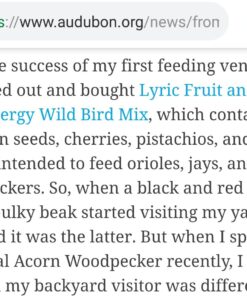 Lyric Fruit and Nut Wild Bird Seed - High Energy Wild Bird Food Mix - Attracts Woodpeckers, Chickadees & Other Songbirds - 5 lb bag 5.00 Pound (Pack of 1) 47 71nw2 1hrvL 1