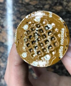 Gourmesso 50ct Flavored Espresso Pods | Int.5 | Proudly Fairtrade | Compatible with Nespresso Original Capsule Machines | Caramel Vanilla Chocolate Hazelnut Coconut | Medium Roast 50ct Flavors Bundle 10 Count (Pack of 5) 35 71nwB6cGSwL