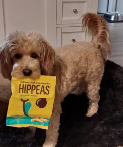 HIPPEAS Organic Chickpea Puffs + Vegan White Cheddar | Vegan, Gluten-Free, Crunchy, Protein Snacks, 1.5 Ounce, 12 Count 1.5 Ounce (Pack of 12) 15 71ny4GhAsCL