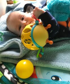 Skip Hop Baby Rattle Toy, Explore and More Roll Around Rattle, Hedgehog 48 71nyV1OYu6L