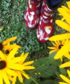 Sloggers Waterproof Garden Rain Boots for Women - Cute Mid-Calf Mud & Muck Boots with Premium Comfort Support Insole 8 Chickens Barn Red 37 71nyXzICxkL