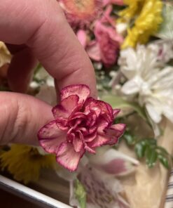 Krylon K01303007 Acrylic Spray Paint Crystal Clear in 11-Ounce Aerosol, Gloss Large Can, 11 Ounce (Pack of 1) 11 Ounce (Pack of 1) Acrylic Crystal Clear 29 71nzNXBIfFL