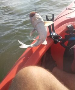 Alternative view of SOUTH BEND Clamp On Rod Holder