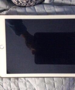 Apple iPad Air 2 MH1J2LL/A 9.7-Inch, 128GB (Gold) 22 71o0QEZGBrL