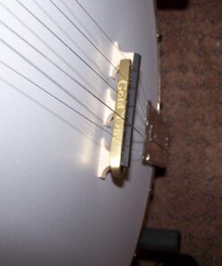 Gold Tone Ultimate Banjo Mute 21 71o1nXSiufL 1