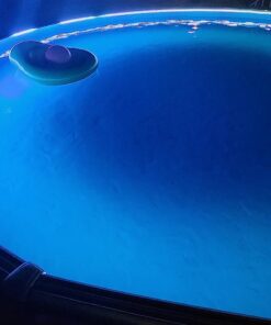 Dolphin Nautilus CC Robotic Pool Vacuum Cleaner — Wall Climbing Capability — Powerful Active Scrubbing Brush — Ideal for Above/In-Ground Pools up to 33 FT in Length 43 71o2oo7Xw6L