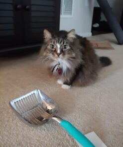 DuraScoop® Premium Multicat Cat Litter Scoop | Solid Metal | Litter Box Tray Pan Sifter Random Color 70 71o3P 3XeNL