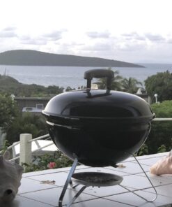 Weber Smokey Joe 14-Inch Portable Grill, Black Weber Smokey Joe, Black 35 71o5IvFDv1L