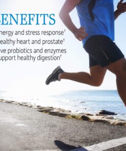 Garden of Life Multivitamin for Men, Vitamin Code Raw One - Once Daily, Vitamins Plus Fruit, Veggies & Probiotics, 75 Count Unflavored 75 Count (Pack of 1) 16 71o73eKSmsL