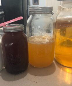 The Art of Fermentation: New York Times Bestseller Hardcover, Illustrated 25 71o7iKs4ngL