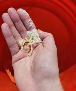 Laundry Soap Kit - Fels Naptha 4 bars, 20 Mule Team Borax Natural Laundry Booster, & Arm & Hammer Super Washing Soda 12 71oAOkrUHL