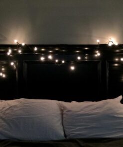 Lutron Credenza Plug-In Dimmer for Incandescent and Halogen Bulbs, TT-300H-BR, Brown 32 71oDS5a7SWL