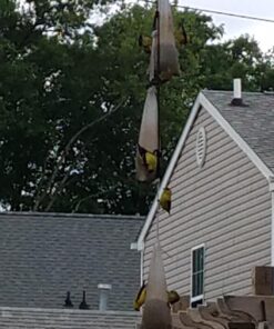 Wild Delight Pink Finch Sock w/ Nyjer Seed, 13 oz 5 71oDgSnd1oL