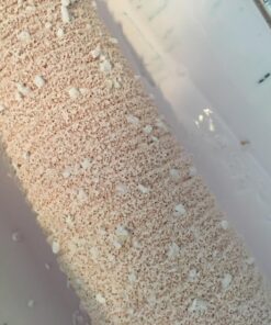 Wooster Brush R234-9 Popcorn Acoustical Roller Cover, 9/16-Inch Nap, 9-Inch foam 10 71oEClxgylL